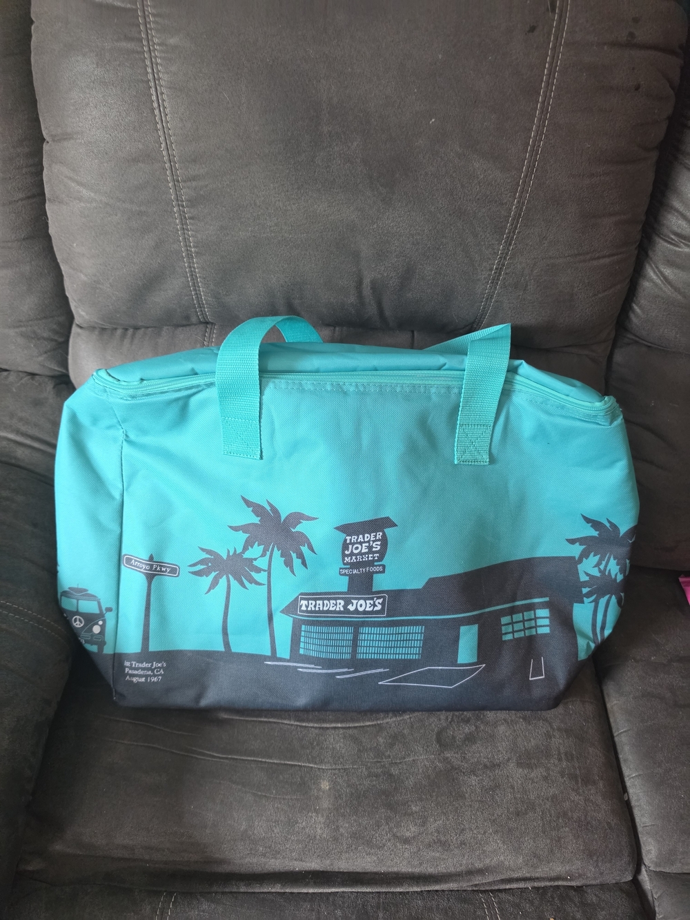 Trader Joe's Teal Graphic Freezer Bag -larger Size